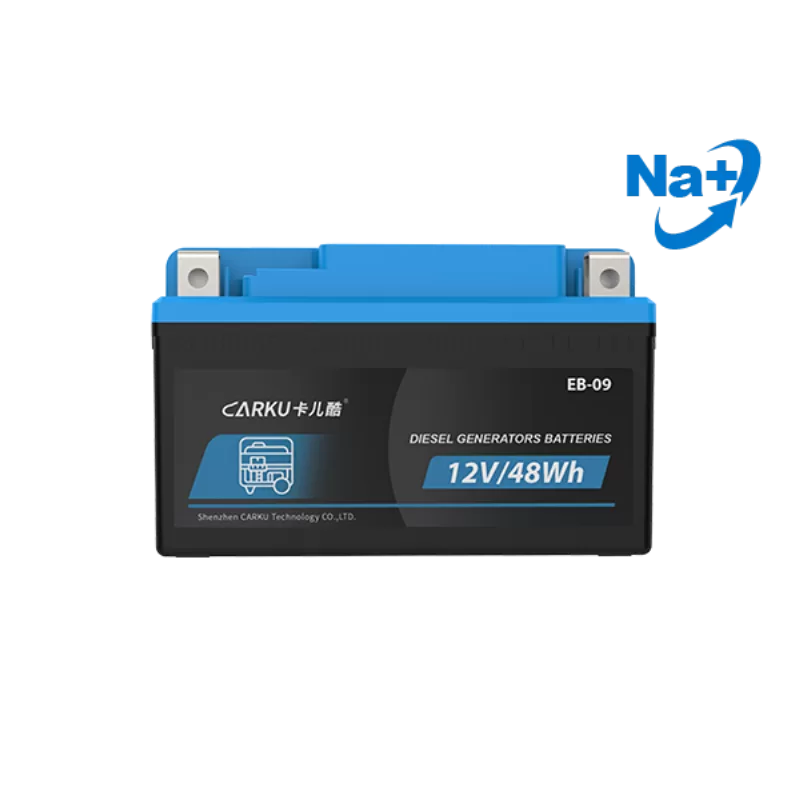 CARKU 12V Starting Battery for Motorcycles & Generators
