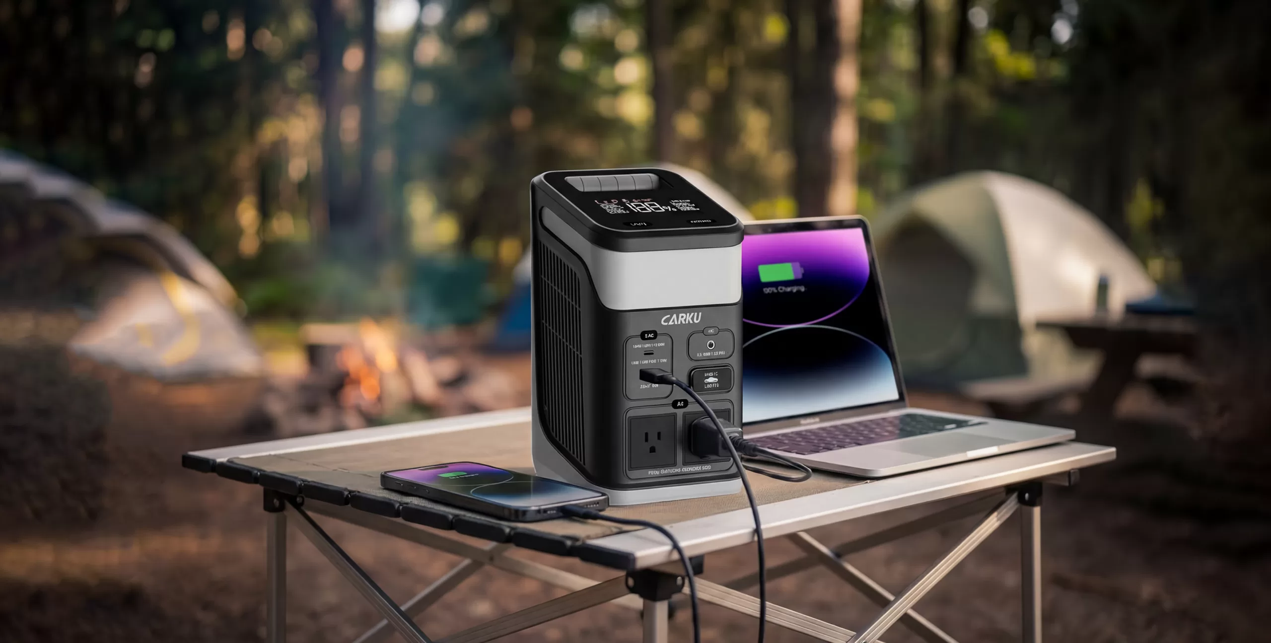 PB-113-POWER-STATION-APPLICATION